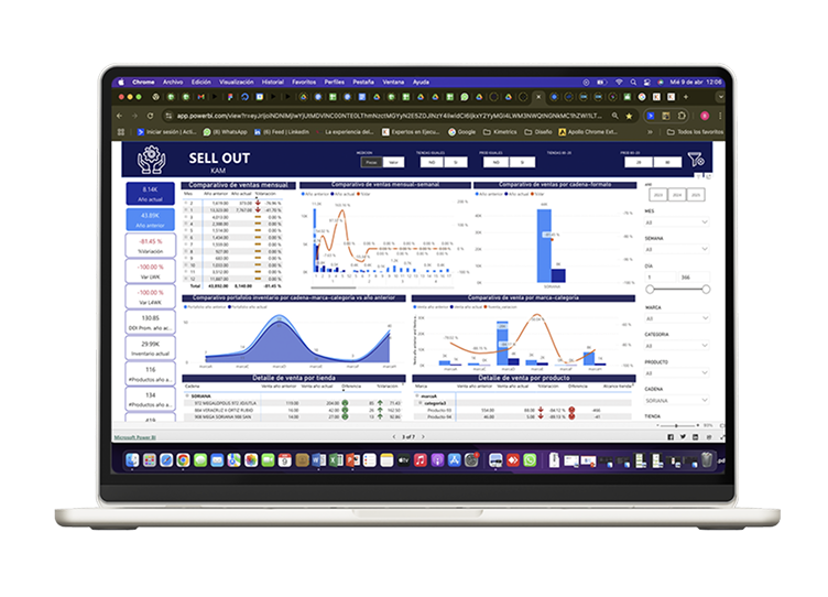 Funciones de un software de business Intelligence para sell out